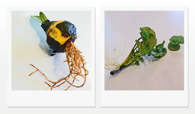 <strong>HELMUT LANG×MAKOTO AZUMA</strong>