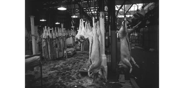 <strong>写心気 128</strong> Photo by 立木義浩