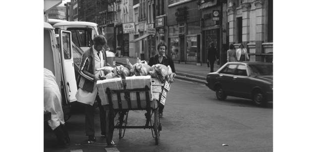 <strong>写心気 129</strong> Photo by 立木義浩