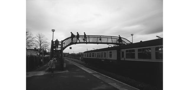 <strong>写心気 133</strong> Photo by 立木義浩