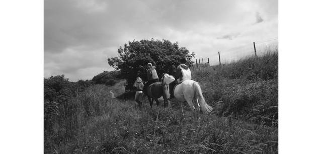 <strong>写心気 147</strong> Photo by 立木義浩