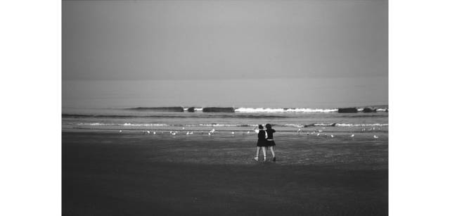 <strong>写心気 149</strong> Photo by 立木義浩