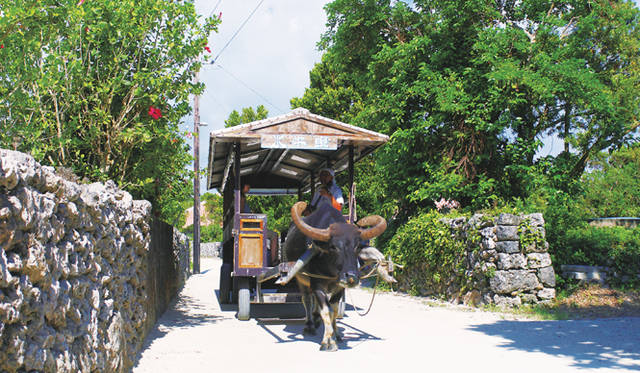 <strong>Club Med Kabira Beach, Ishigaki｜クラブメッド石垣島</strong>　東京からは那覇での乗り継ぎをふくめて約4時間半。いかにも沖縄らしい風景に、まるで異国の地に降り立ったような錯覚を覚える。