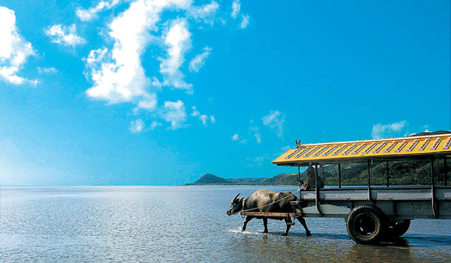<strong>Club Med Kabira Beach, Ishigaki｜クラブメッド石垣島</strong>　石垣港から高速船で10分ほどの竹富島も、足を伸ばしてみる価値あり。水牛車に揺られながら、まるで絵に描いたような島の景色のなかを漂う。
