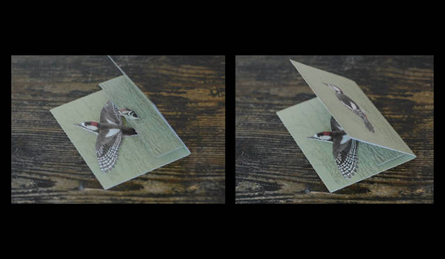 <strong>MUJI BOOKS｜加藤郁美「どうぶつ帖」展</strong>　ユカワアツコの飛び出す鳥カード