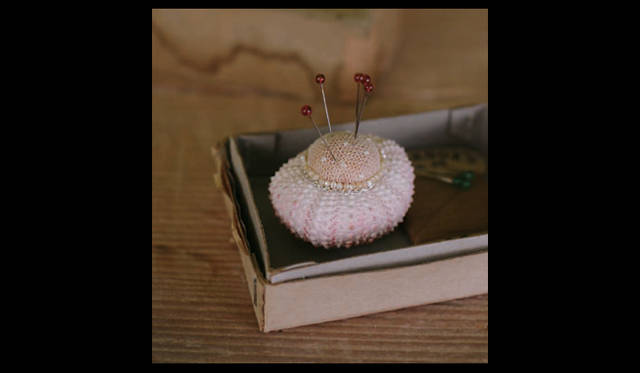 <strong>MUJI BOOKS｜加藤郁美「どうぶつ帖」展</strong>　結城伸子による海の生き物をもちいた針刺しや標本箱