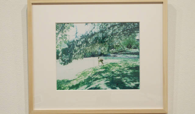 <strong>写真家による作品のチャリティ販売がいよいよ明日から</strong>　　瀧本幹也