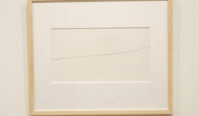 <strong>写真家による作品のチャリティ販売がいよいよ明日から</strong>　　藤井保