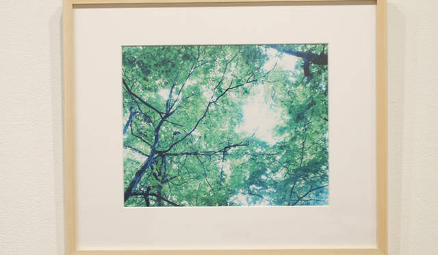 <strong>写真家による作品のチャリティ販売がいよいよ明日から</strong>　　加藤アラタ