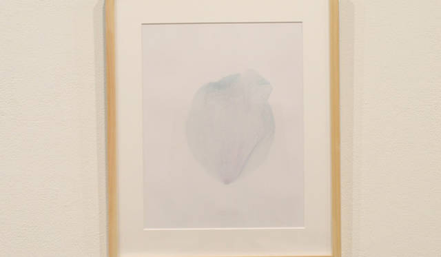 <strong>写真家による作品のチャリティ販売がいよいよ明日から</strong>　　舛本晋一