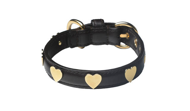 <strong>MOSCHINO｜モスキーノ</strong>　モスキーノのペットコレクションが限定発売！