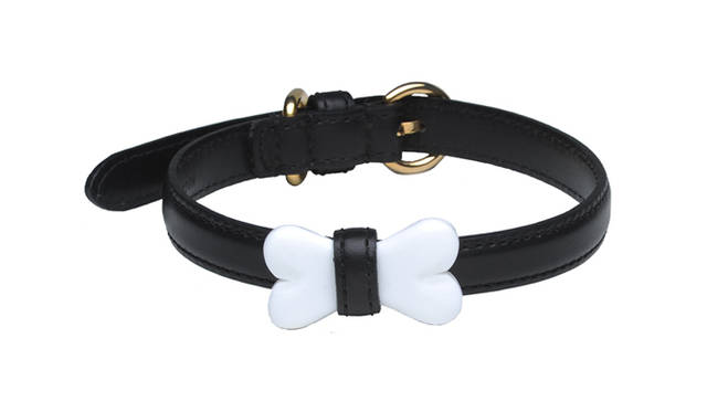 <strong>MOSCHINO｜モスキーノ</strong>　モスキーノのペットコレクションが限定発売！