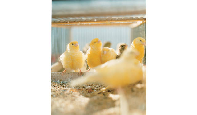 <strong>ART</strong>｜写真家 市橋織江 写真展「PARIS」開催