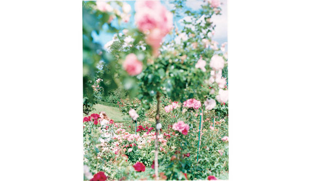 <strong>ART</strong>｜写真家 市橋織江 写真展「PARIS」開催