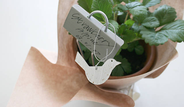 <strong>Yoko Ueno Lewis｜暮らしノート</strong>　自分で楽しむ心の緑化プロジェクト