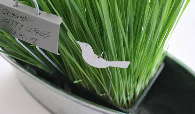 <strong>Yoko Ueno Lewis｜暮らしノート</strong>　自分で楽しむ心の緑化プロジェクト