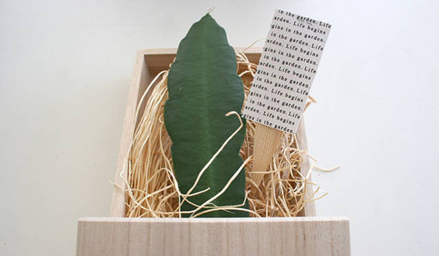 <strong>Yoko Ueno Lewis｜暮らしノート</strong>　自分で楽しむ心の緑化プロジェクト