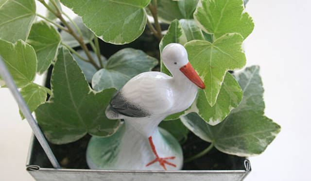 <strong>Yoko Ueno Lewis｜暮らしノート</strong>　自分で楽しむ心の緑化プロジェクト