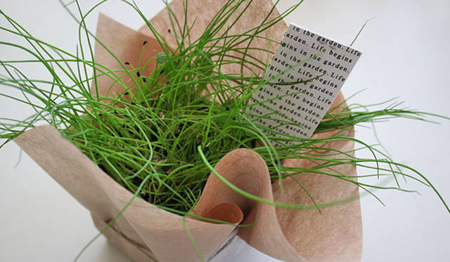 <strong>Yoko Ueno Lewis｜暮らしノート</strong>　自分で楽しむ心の緑化プロジェクト