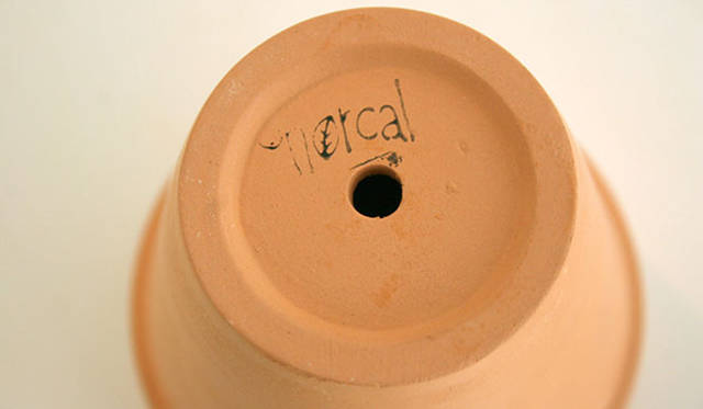 <strong>Yoko Ueno Lewis｜暮らしノート</strong>　自分で楽しむ心の緑化プロジェクト