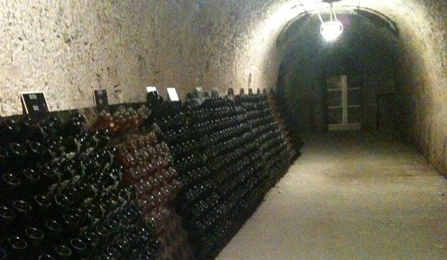 <strong>Perrier-Jouët｜ペリエ ジュエ</strong>　　「メゾン ベル エポック」の地下には迷路のようなカーブが広がっています。