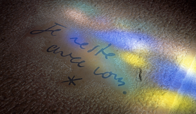 <strong>carnet de jardin｜松永 学</strong>　ステンドグラスからこぼれ落ちる虹色