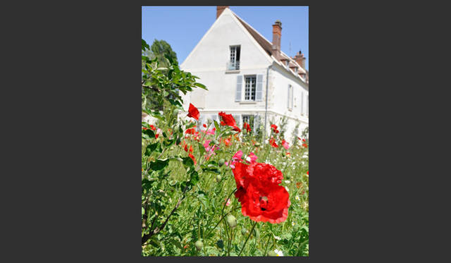 <strong>carnet de jardin｜松永 学</strong>　最後に住んだ家は蘇り