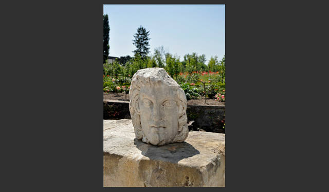 <strong>carnet de jardin｜松永 学</strong>　まさに今