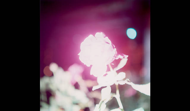 <strong>ART</strong>｜川内倫子写真展「Illuminance」フォイル・ギャラリーにて開催　Untitled, from the series of Illuminance, 2011