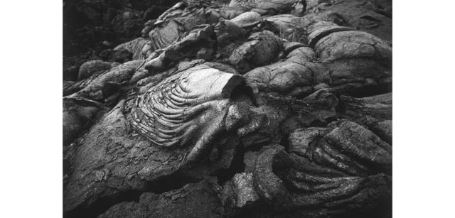 <strong>写心気 157</strong> Photo by 立木義浩