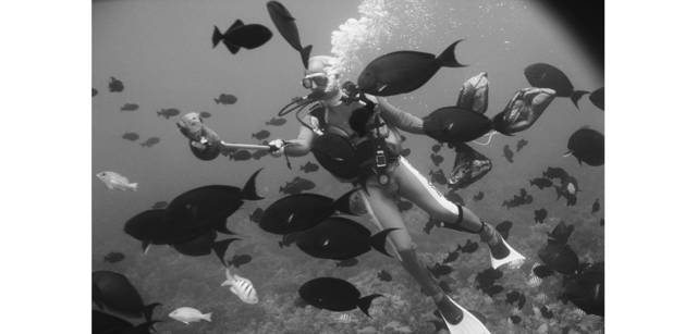 <strong>写心気 162</strong> Photo by 立木義浩