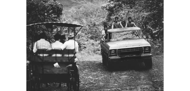 <strong>写心気 164</strong> Photo by 立木義浩