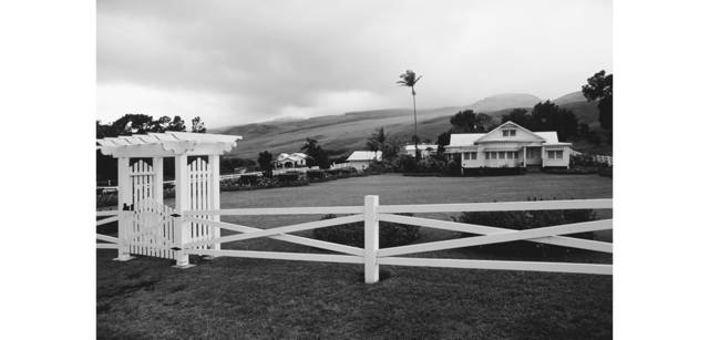 <strong>写心気 166</strong> Photo by 立木義浩