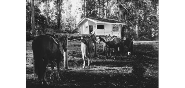 <strong>写心気 167</strong> Photo by 立木義浩