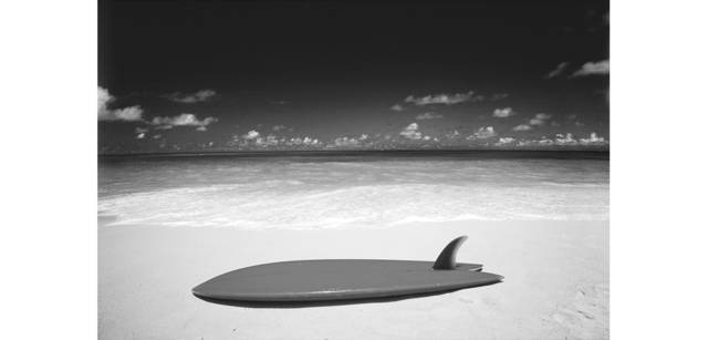 <strong>写心気 168</strong> Photo by 立木義浩