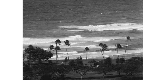 <strong>写心気 172</strong> Photo by 立木義浩