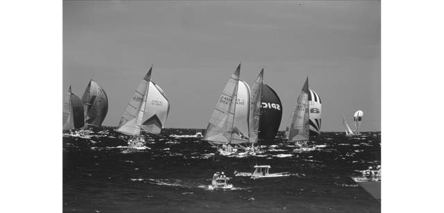 <strong>写心気 174</strong> Photo by 立木義浩