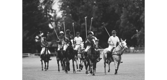 <strong>写心気 176</strong> Photo by 立木義浩