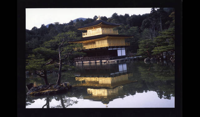 <strong>RAT HOLE GALLERY｜ラットホールギャラリー</strong>　荒木経惟展「彼岸」