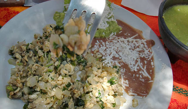 <strong>マシュー・ワォルドマン｜日付のない日記</strong>　escamoles