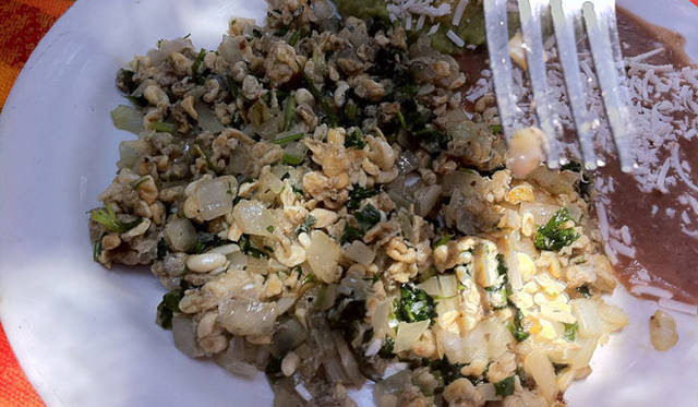 <strong>マシュー・ワォルドマン｜日付のない日記</strong>　escamoles