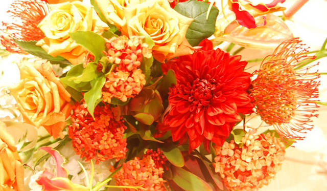 <strong>和気雅美｜FLORALUXE </strong>　フラワーデコレーション