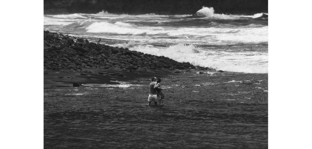 <strong>写心気 186</strong> Photo by 立木義浩