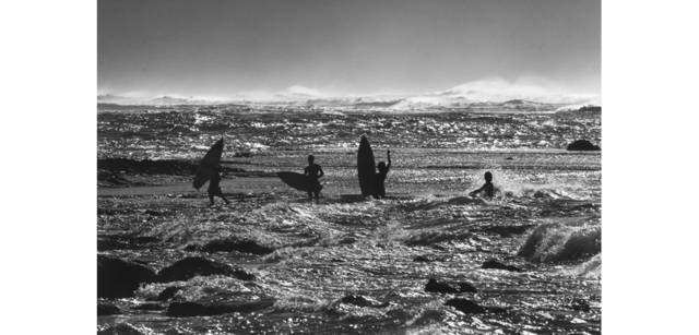 <strong>写心気 191</strong> Photo by 立木義浩