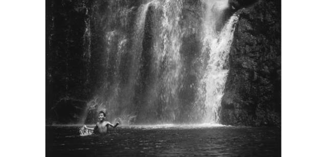 <strong>写心気 194</strong> Photo by 立木義浩