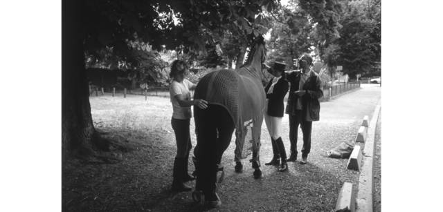 <strong>写心気 196</strong> Photo by 立木義浩