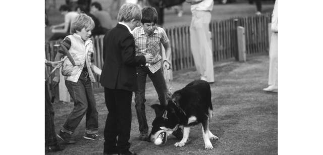 <strong>写心気 197</strong> Photo by 立木義浩