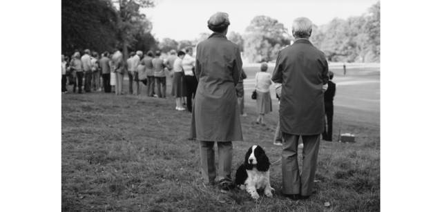 <strong>写心気 198</strong> Photo by 立木義浩