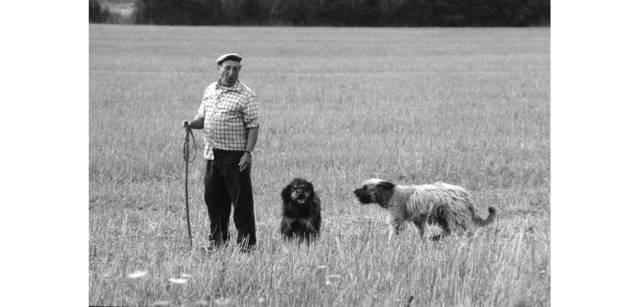 <strong>写心気 199</strong> Photo by 立木義浩