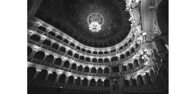 <strong>写心気 203</strong> Photo by 立木義浩